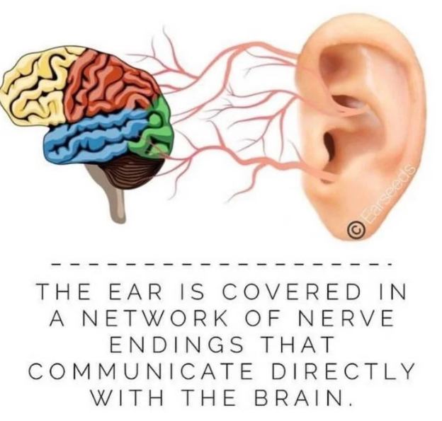 Crystal Wellness Studs™ | Ear Acupressure Therapy